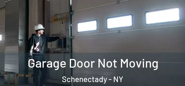  Garage Door Not Moving Schenectady - NY