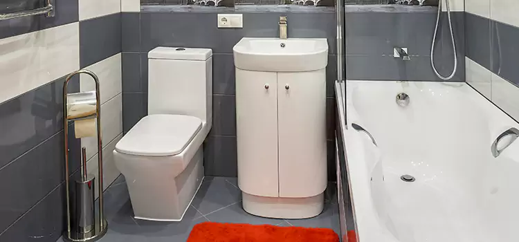 Hansgrohe Shaving Mirror Schenectady