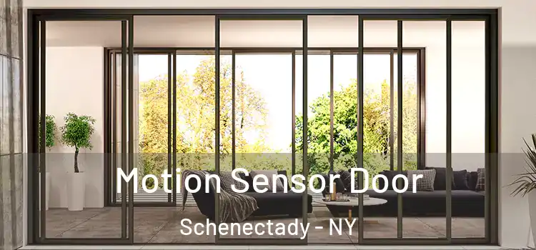  Motion Sensor Door Schenectady - NY